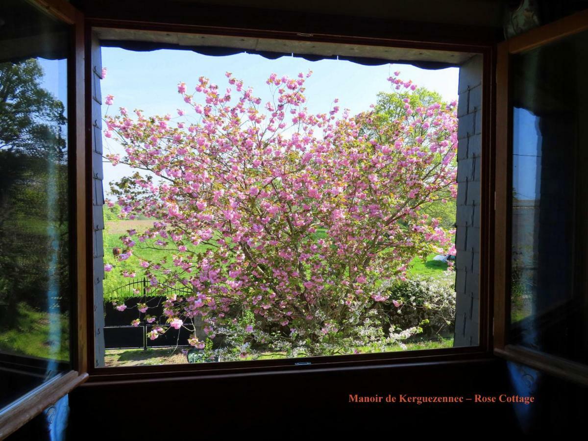 Rose Cottage Pontrieux エクステリア 写真