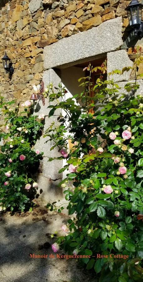 Rose Cottage Pontrieux エクステリア 写真