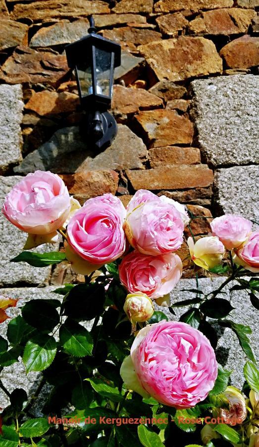 Rose Cottage Pontrieux エクステリア 写真