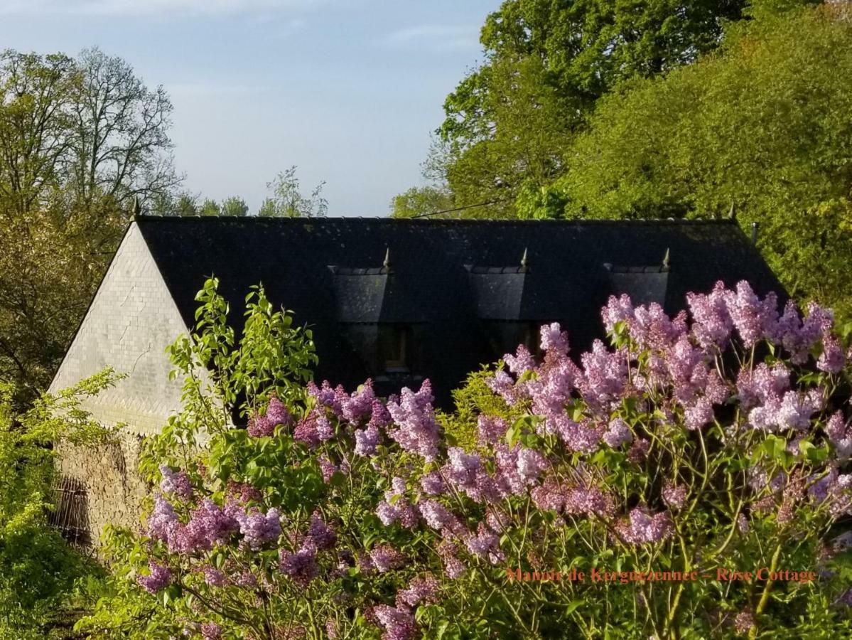 Rose Cottage Pontrieux エクステリア 写真
